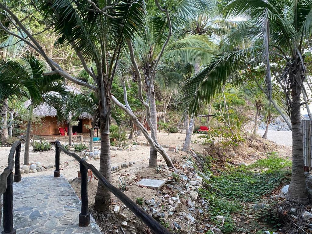 Hotel Bahia De La Luna Arroyo Cruz Екстериор снимка